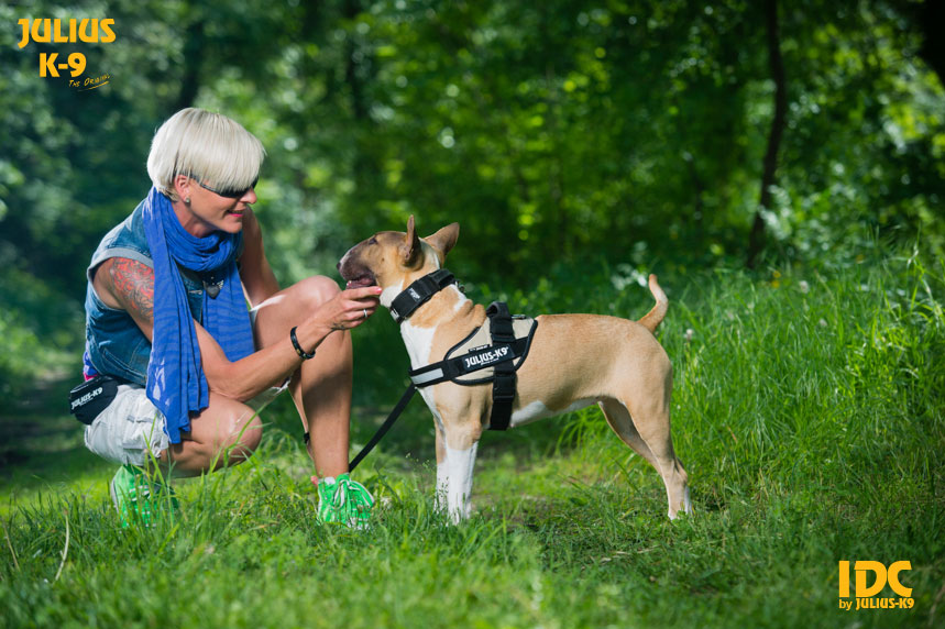 julius harness size 0