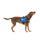 IDC® - Powerharness Sidebag - size 0 Μπλε