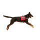 IDC® - Powerharness Sidebag - size 3 - 4 Red