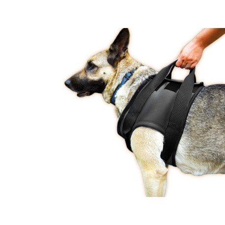 Rehabilitation Harness for Front Legs Size XL