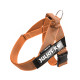 IDC® Color & Gray® Belt Harness