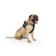 Pressure distribution pad for all JULIUS-K9® Harnesses