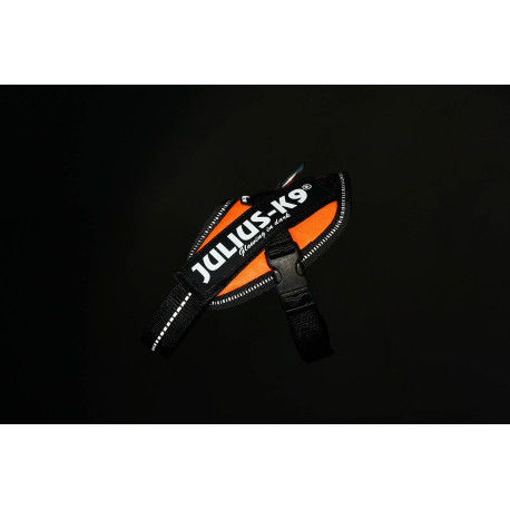 IDC® High Visibility Powerharness