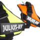 IDC® High Visibility Powerharness