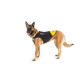 IDC® neoprene dog jacket