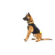 IDC® neoprene dog jacket