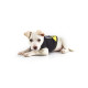 IDC® neoprene dog jacket