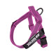 IDC® Color & Gray® Belt Harness