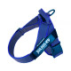 IDC® Color & Gray® Belt Harness