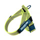 IDC® Color & Gray® Belt Harness
