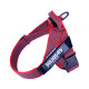IDC® Color & Gray® Belt Harness