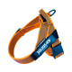 IDC® Color & Gray® Belt Harness