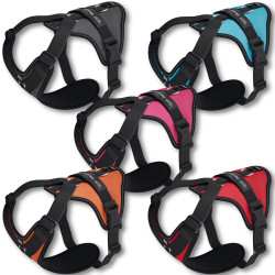 IDC® Longwalk Light