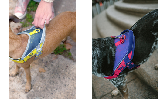 Street Harness Handle