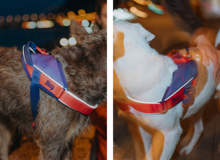 Street Harness Visibility