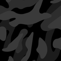 Night Camo