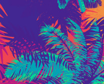Vibe